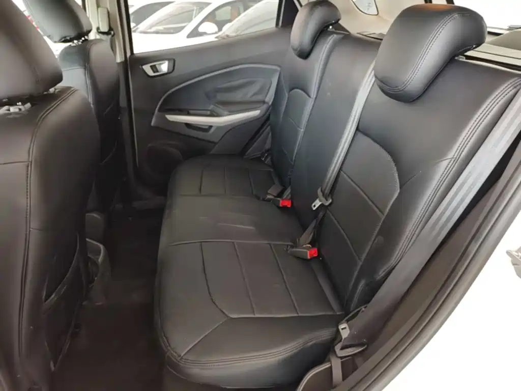 Ford Ecosport — миниатюра 17