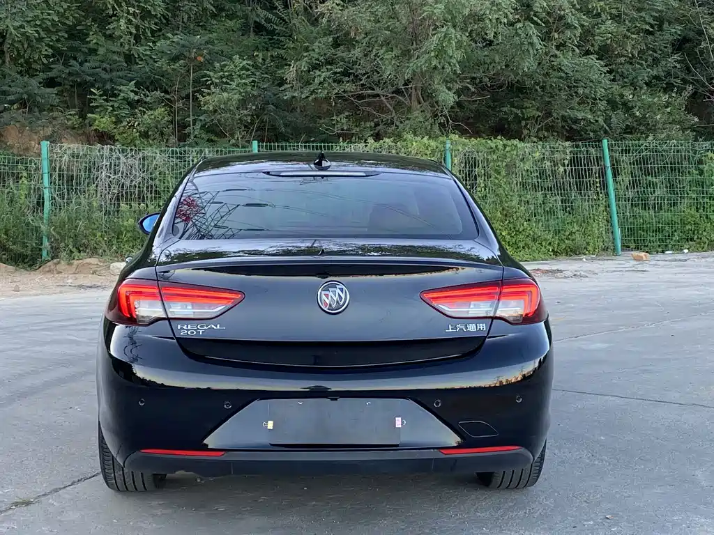 Buick Regal — миниатюра 19