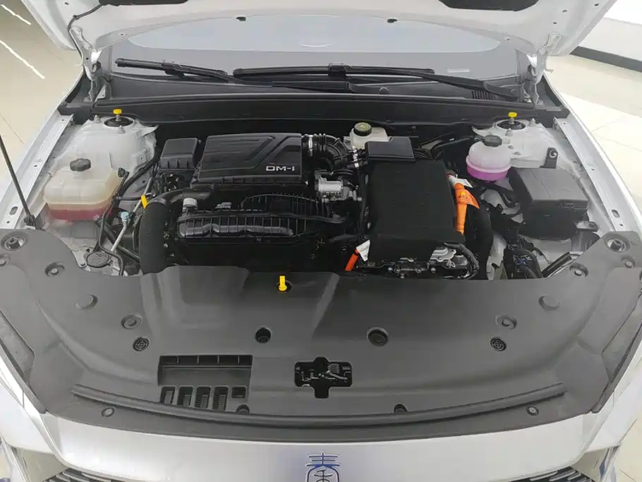 BYD Qin Plus PLUS 2024 DM-i 55KM Lead
