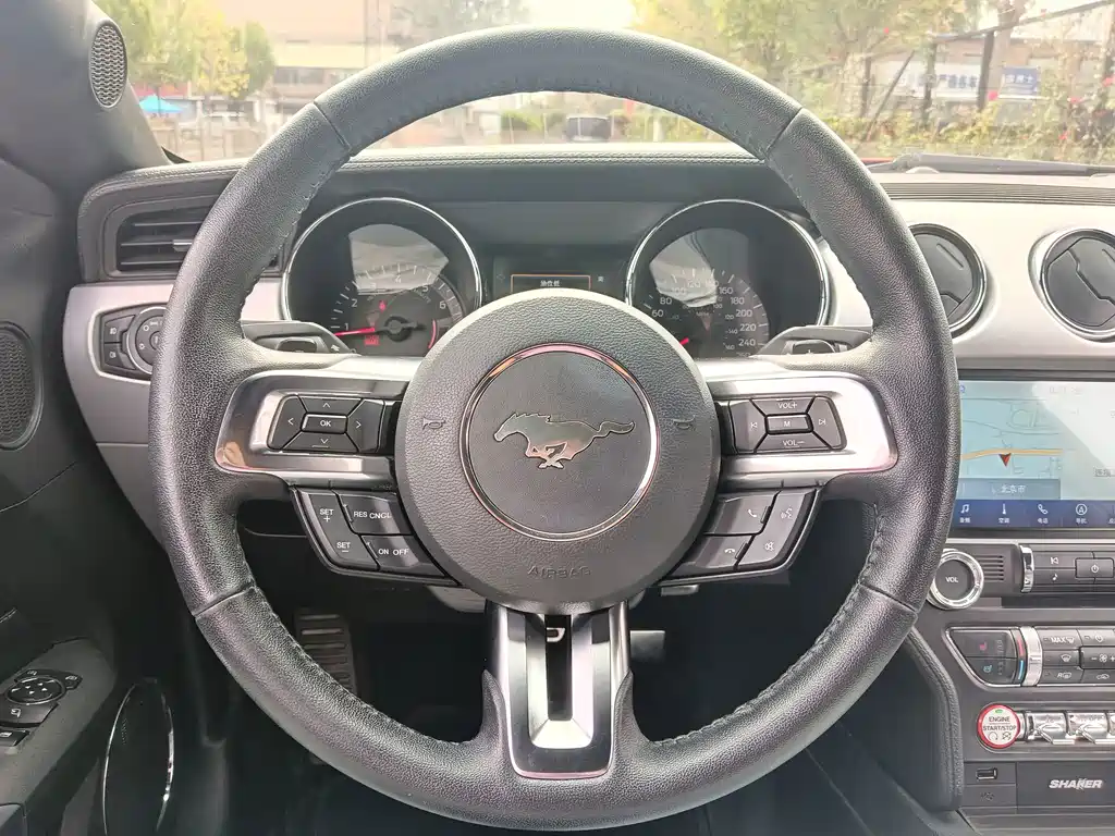 Ford Mustang — миниатюра 16