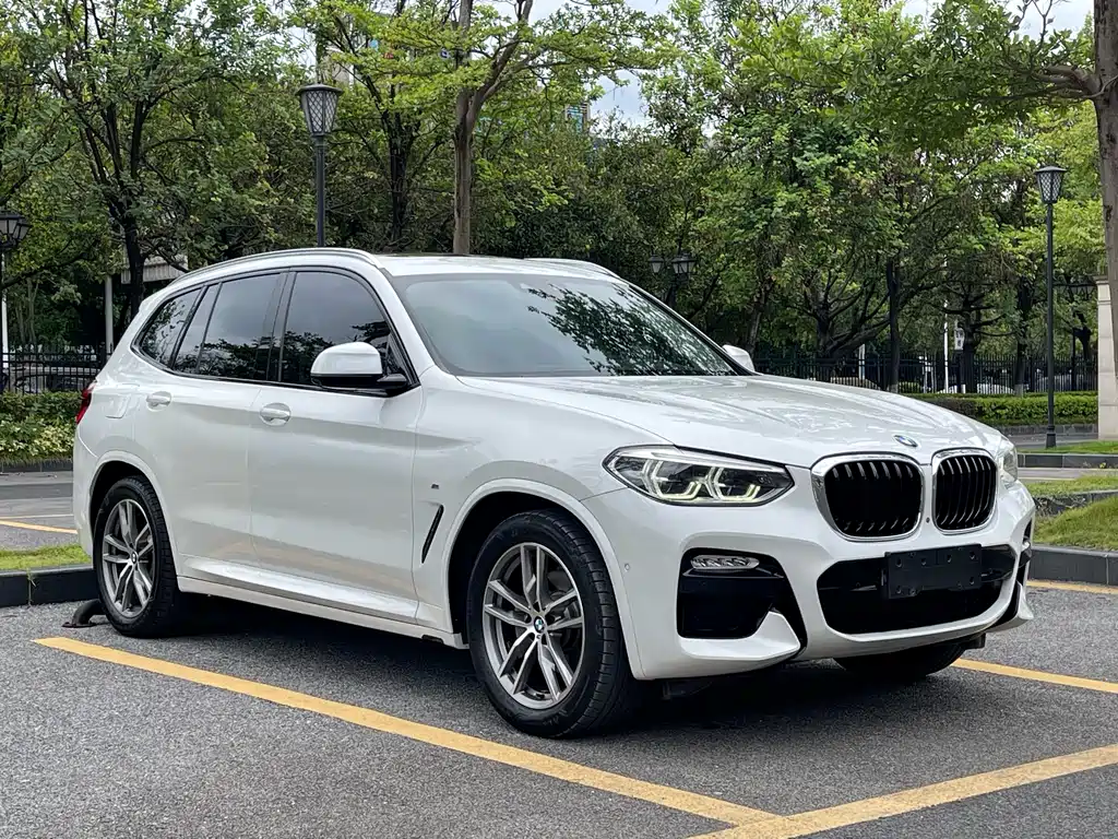 BMW X3 2018 xDrive30i Lead M Sport V