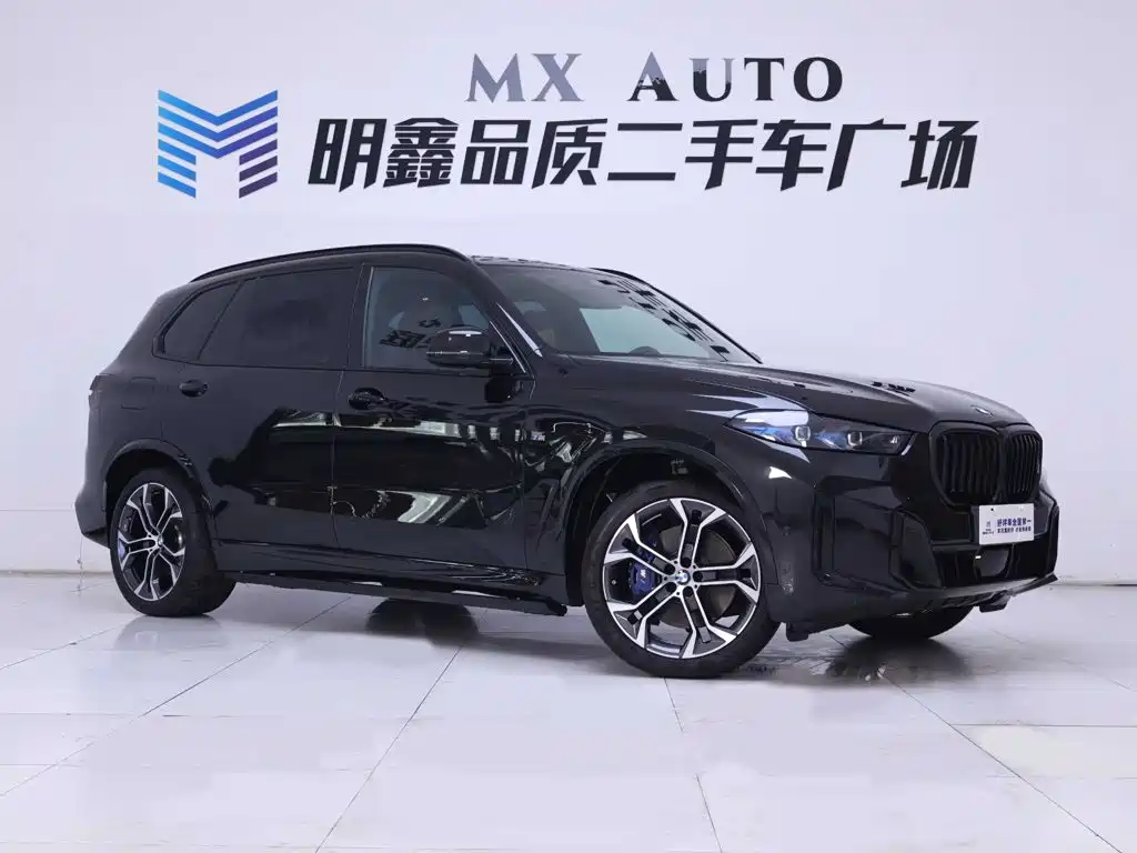BMW X5 — миниатюра 5