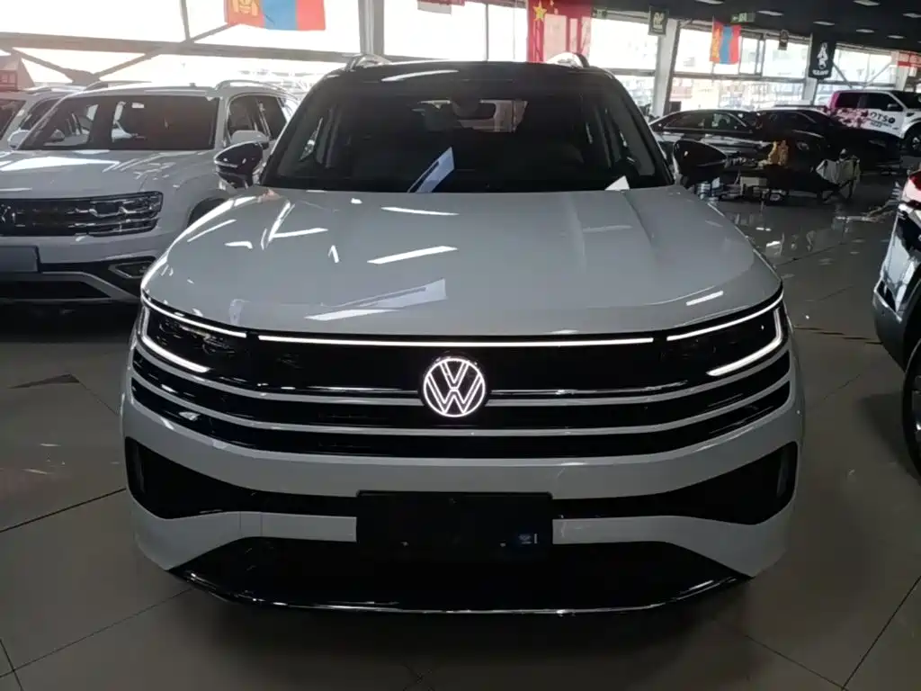 Volkswagen Tavendor — миниатюра 3