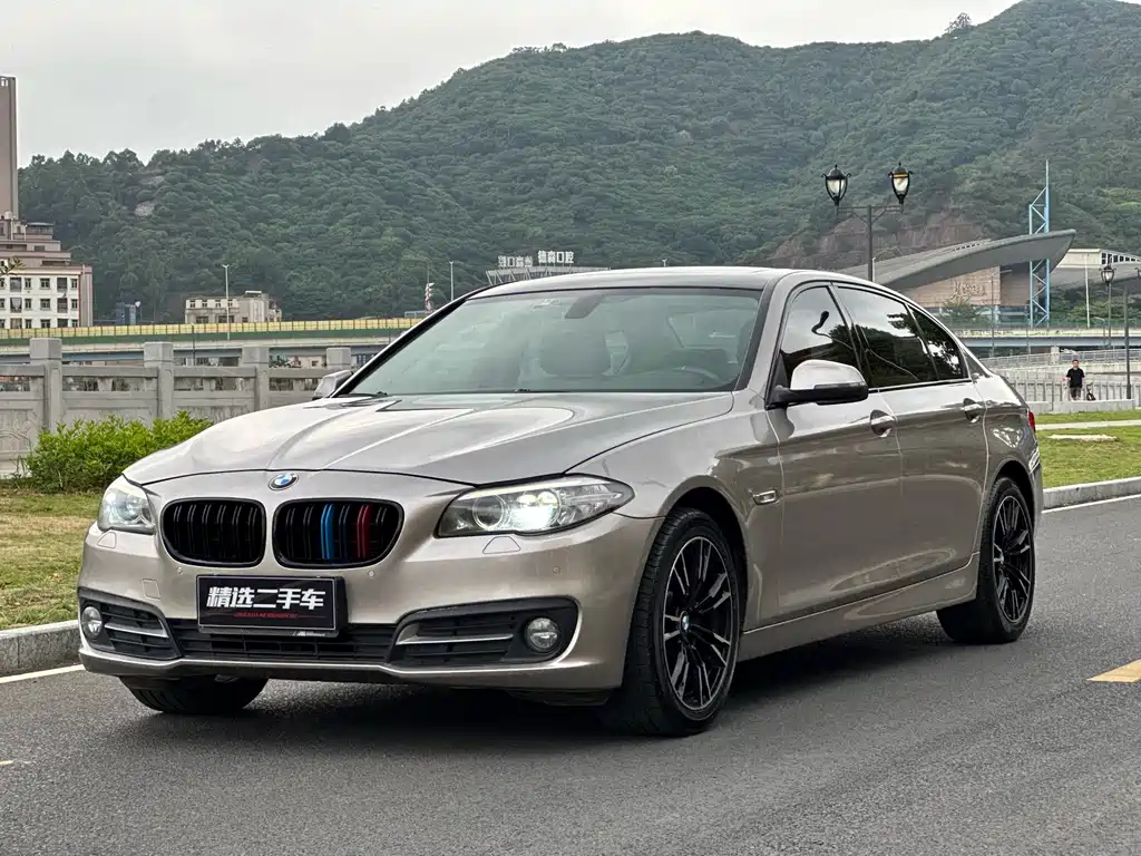 BMW 5 Series 2015