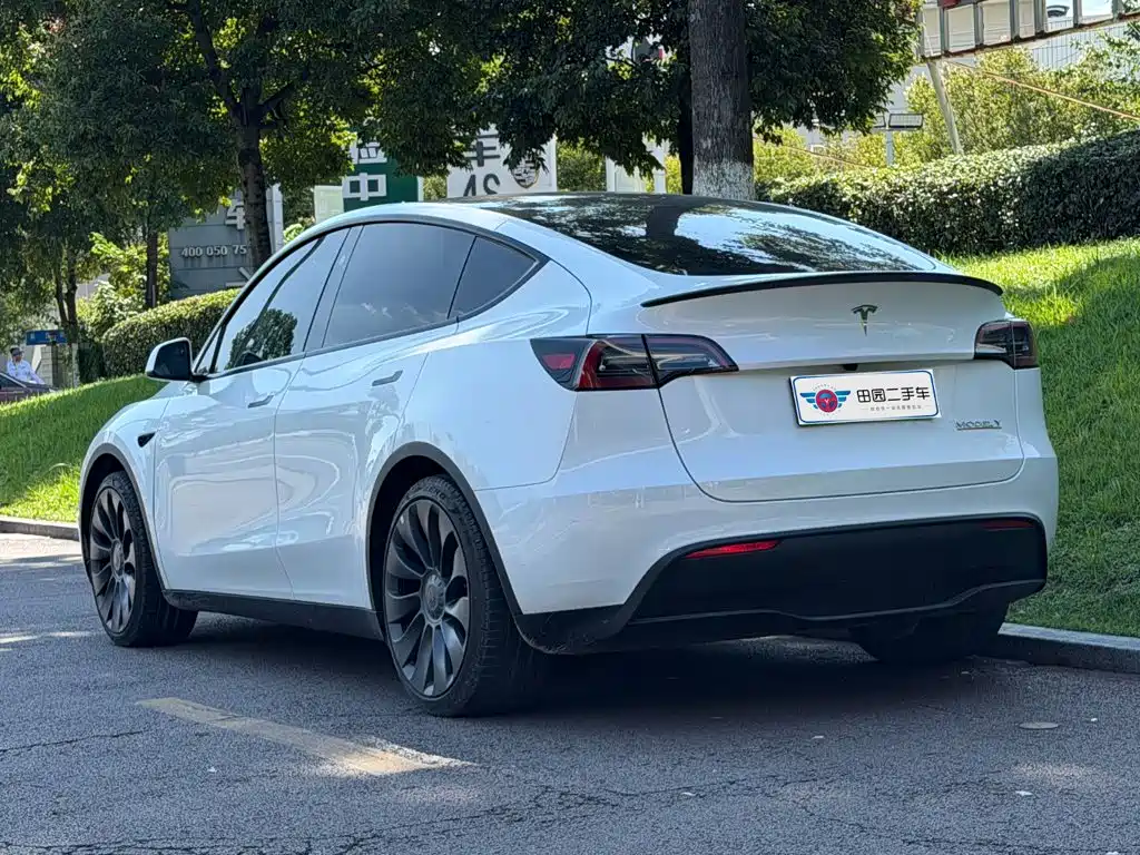 Tesla Model Y — миниатюра 4
