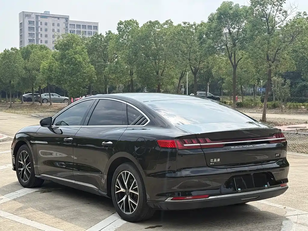 BYD e9 — миниатюра 7