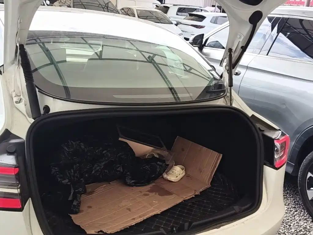 Tesla Model 3 — миниатюра 19