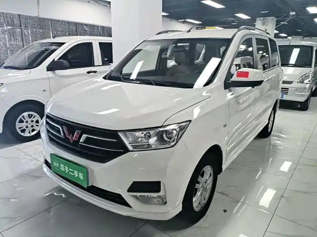 2019 Wuling Motors Hongguang