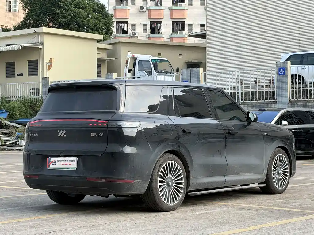 IM IM LS8 — миниатюра 7
