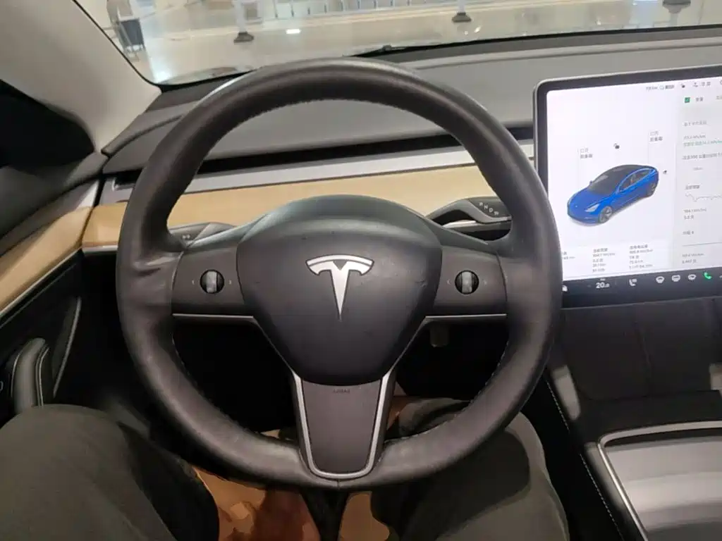Tesla Model 3 — миниатюра 11
