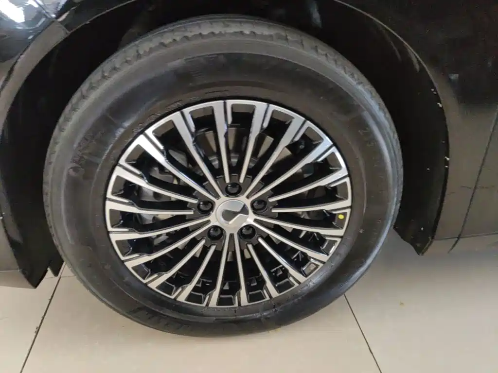 Denza Denza D9 — миниатюра 23
