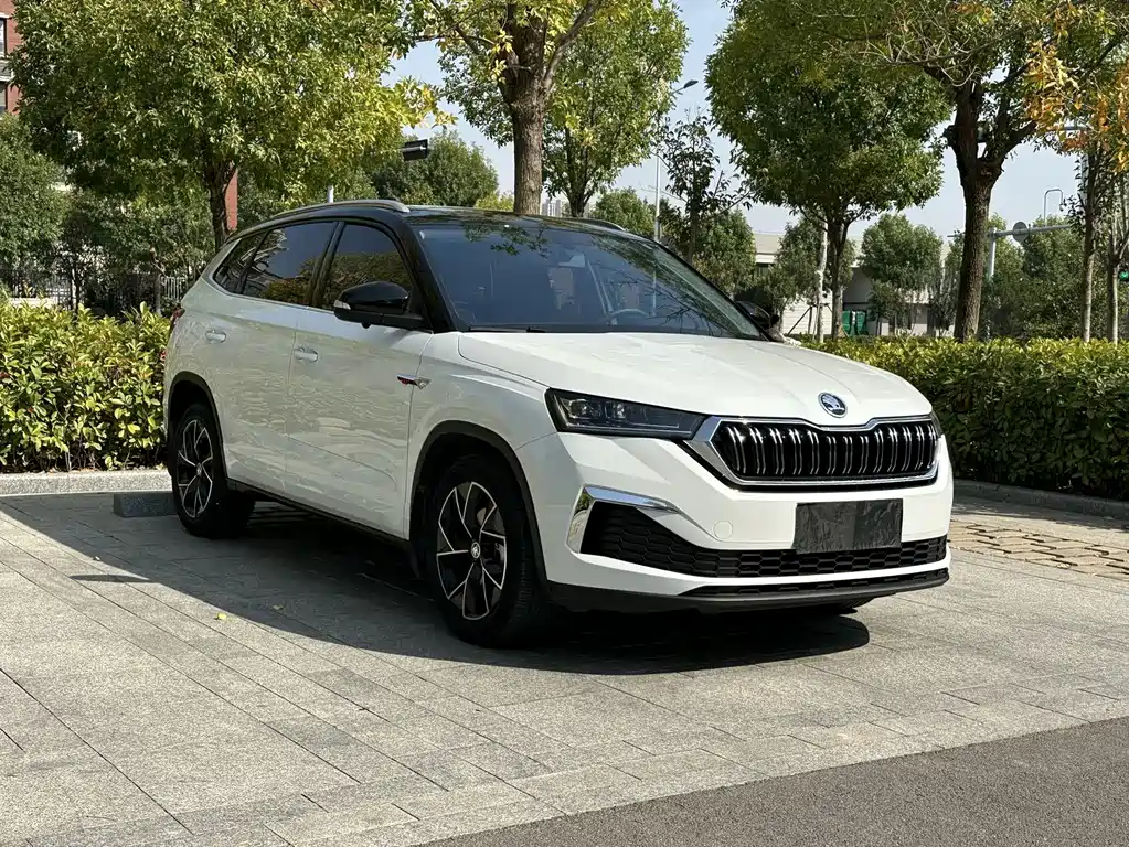 Skoda Kamiq — миниатюра 4