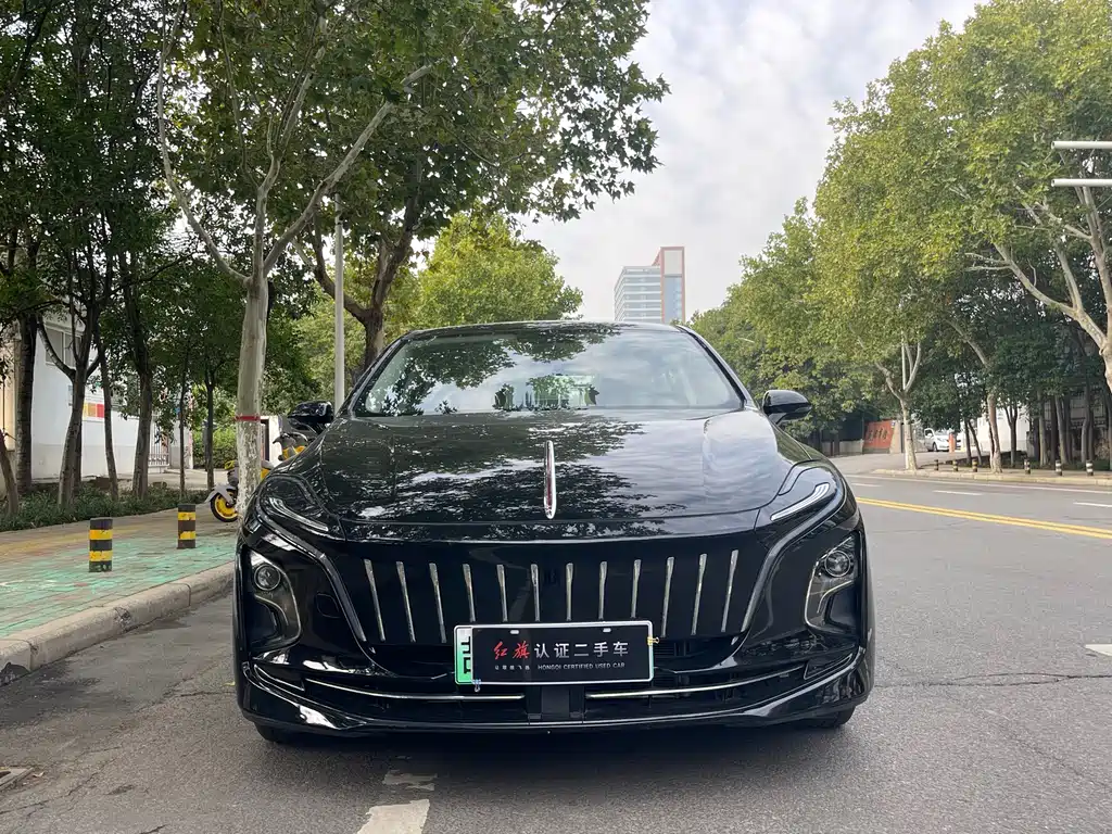 Hongqi HONGQI E QM5