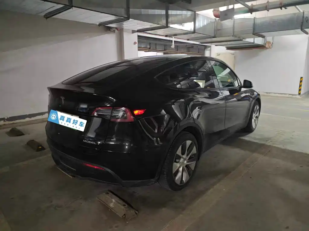 Tesla Model Y — миниатюра 9