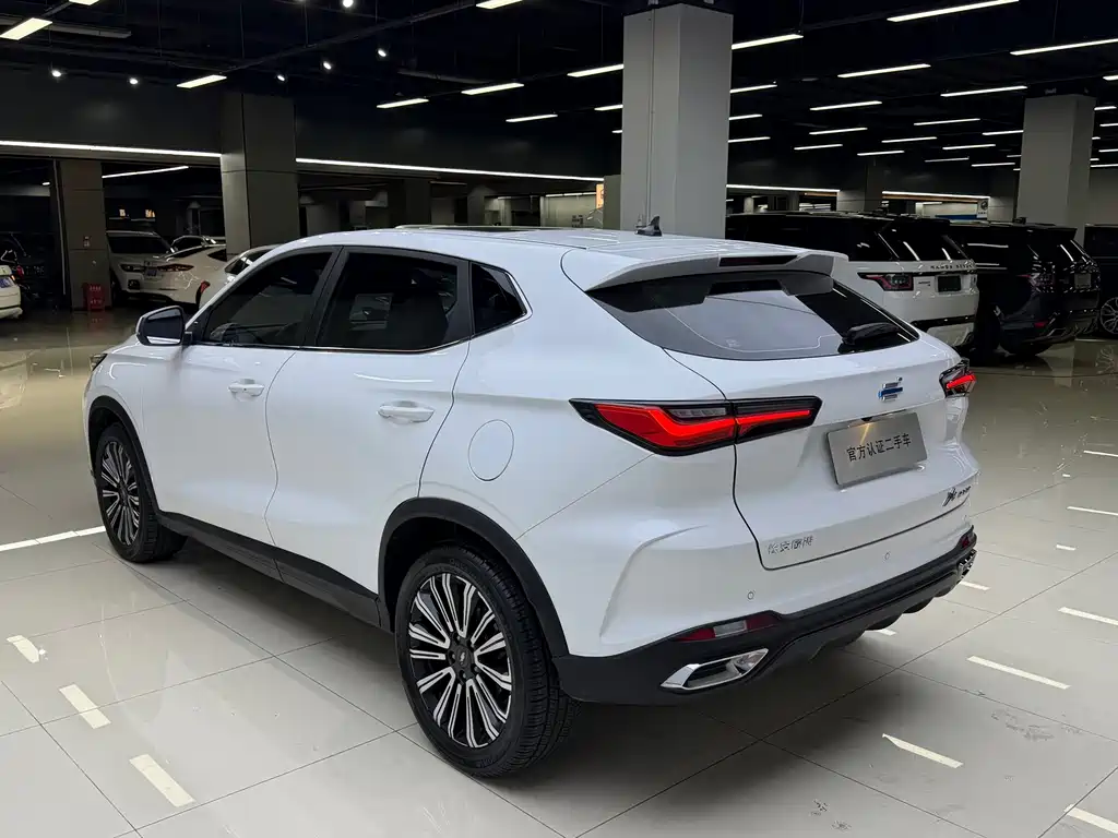 Oshan Oushang X5 — миниатюра 7