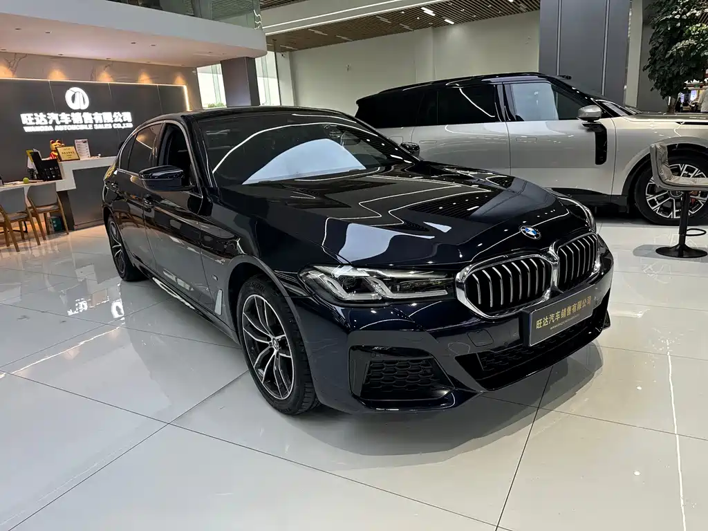 BMW 5 Series — миниатюра 3