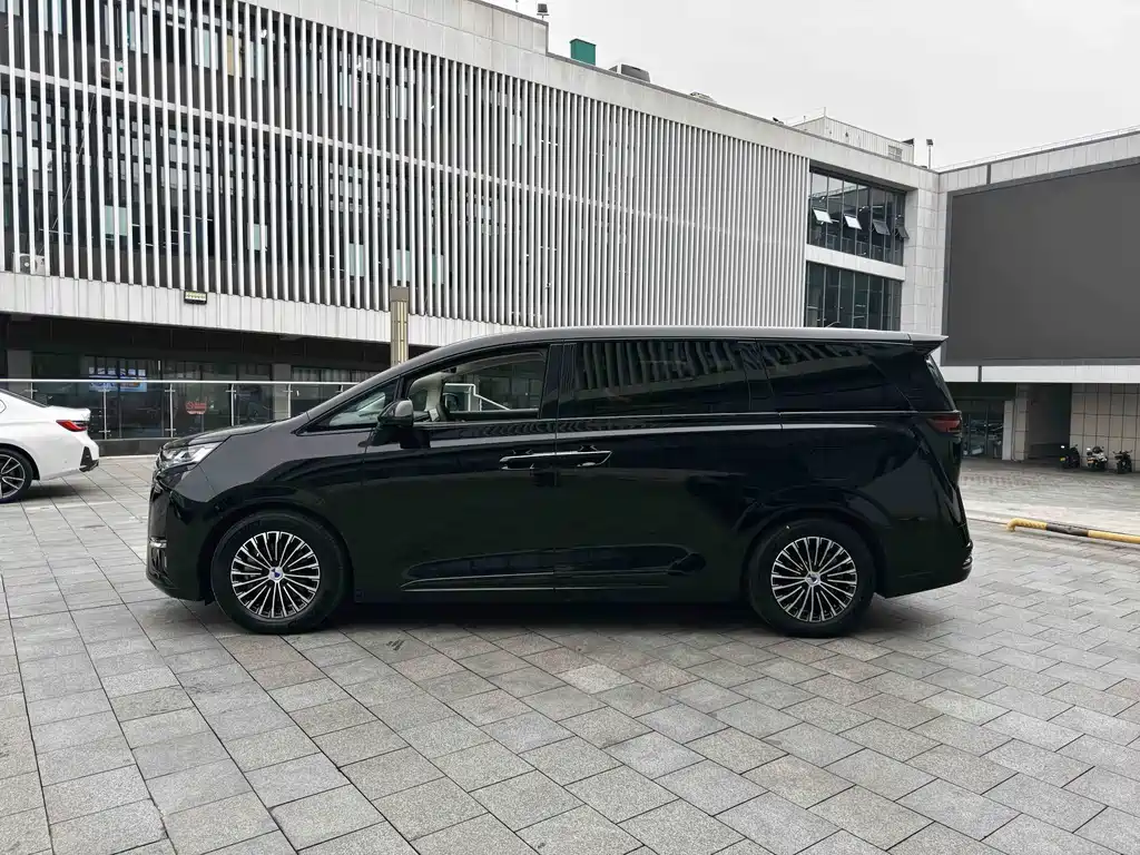 Denza Denza D9 — миниатюра 13