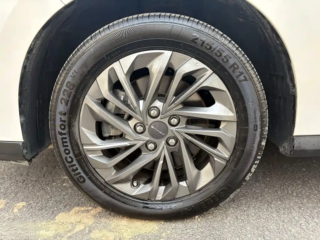 SAIC MAXUS CHASE G50