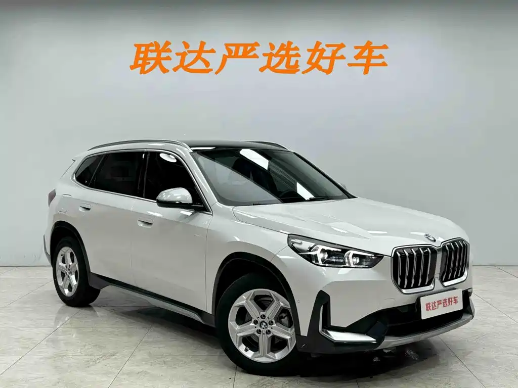 BMW X1 — миниатюра 24
