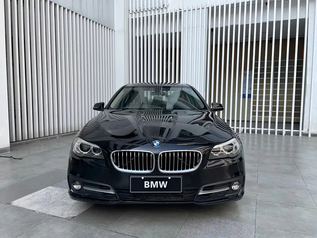 BMW 5 Series — миниатюра 2