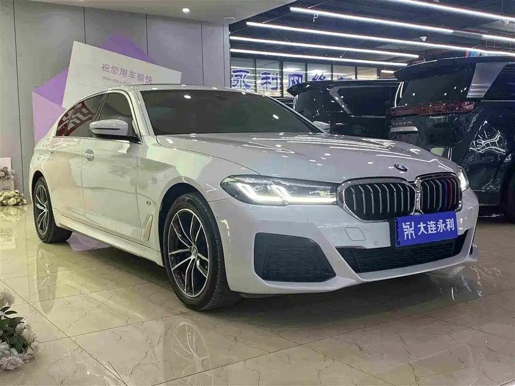 BMW 5 Series — миниатюра 3