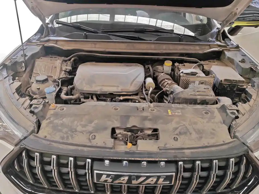 Haval Chitu — миниатюра 10