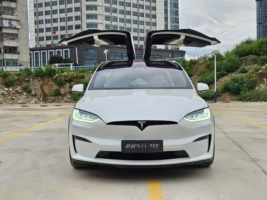 Tesla Model X — миниатюра 2