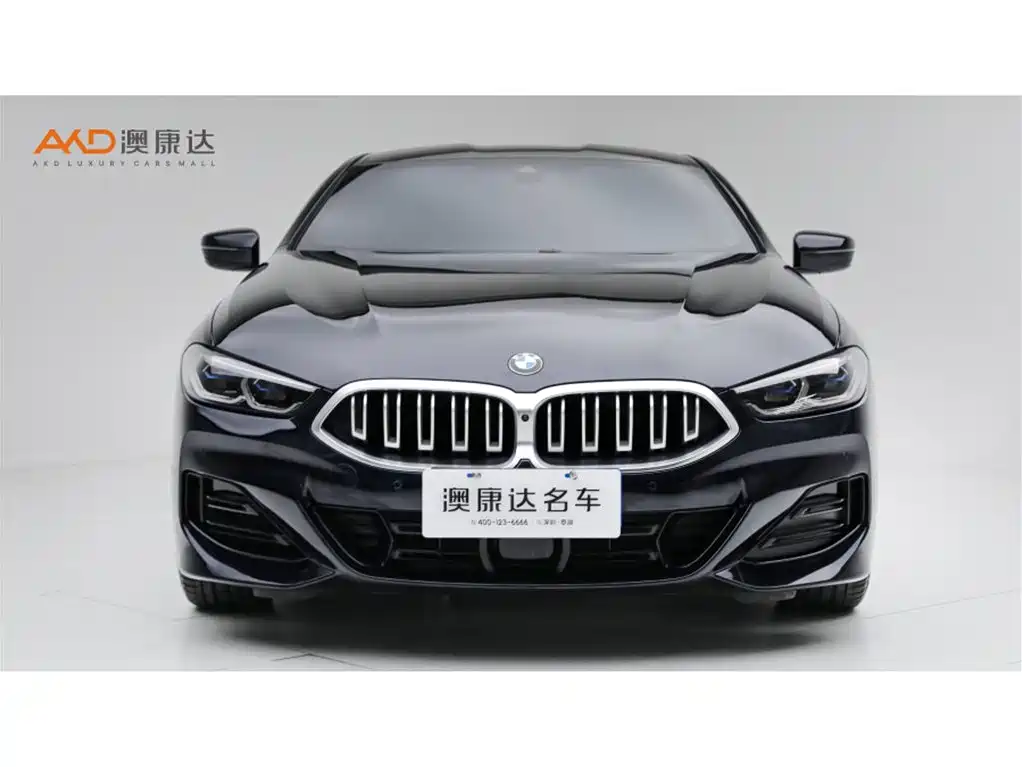 BMW 8 Series — миниатюра 2