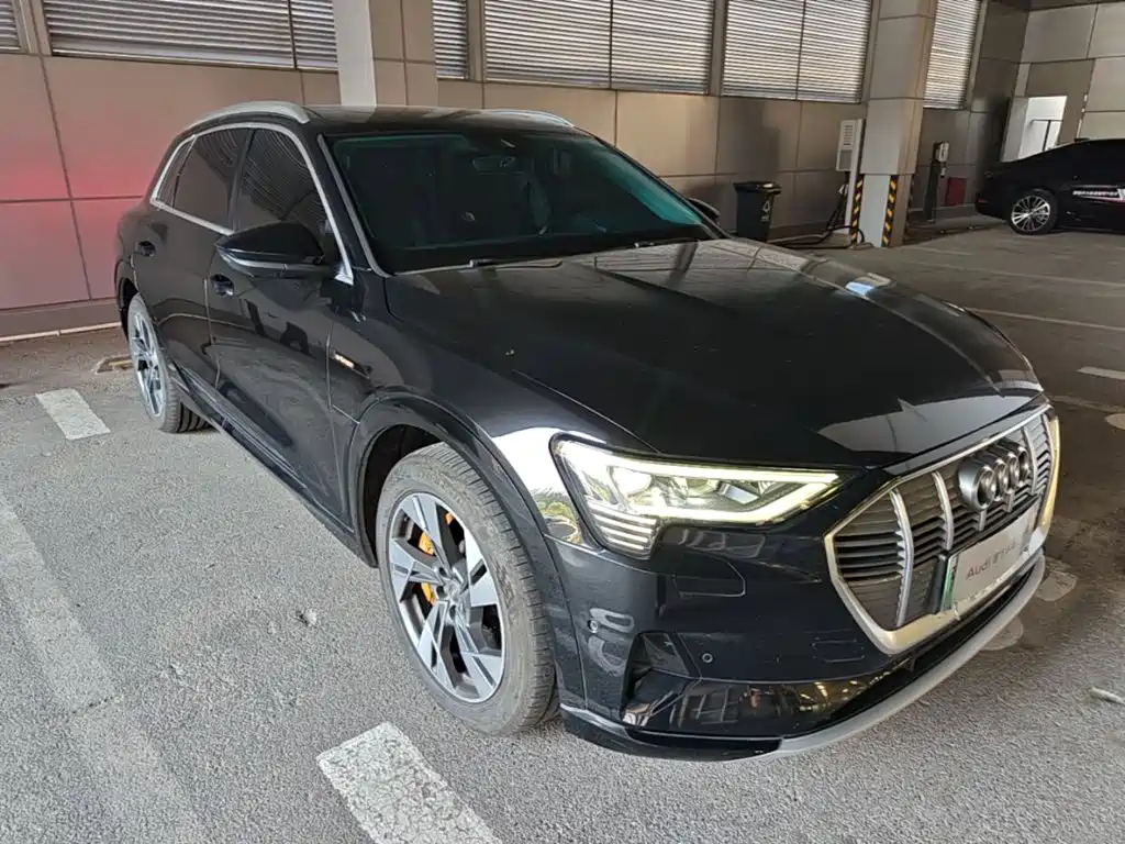 Audi e-tron (Import) — миниатюра 4