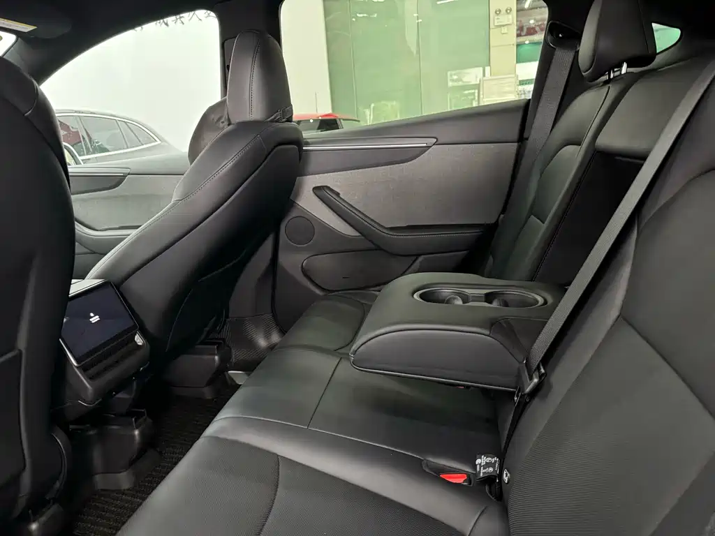 Tesla Model Y — миниатюра 13