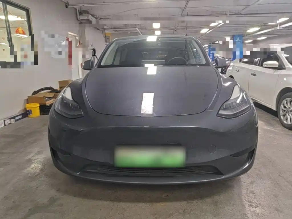 Tesla Model Y — миниатюра 3