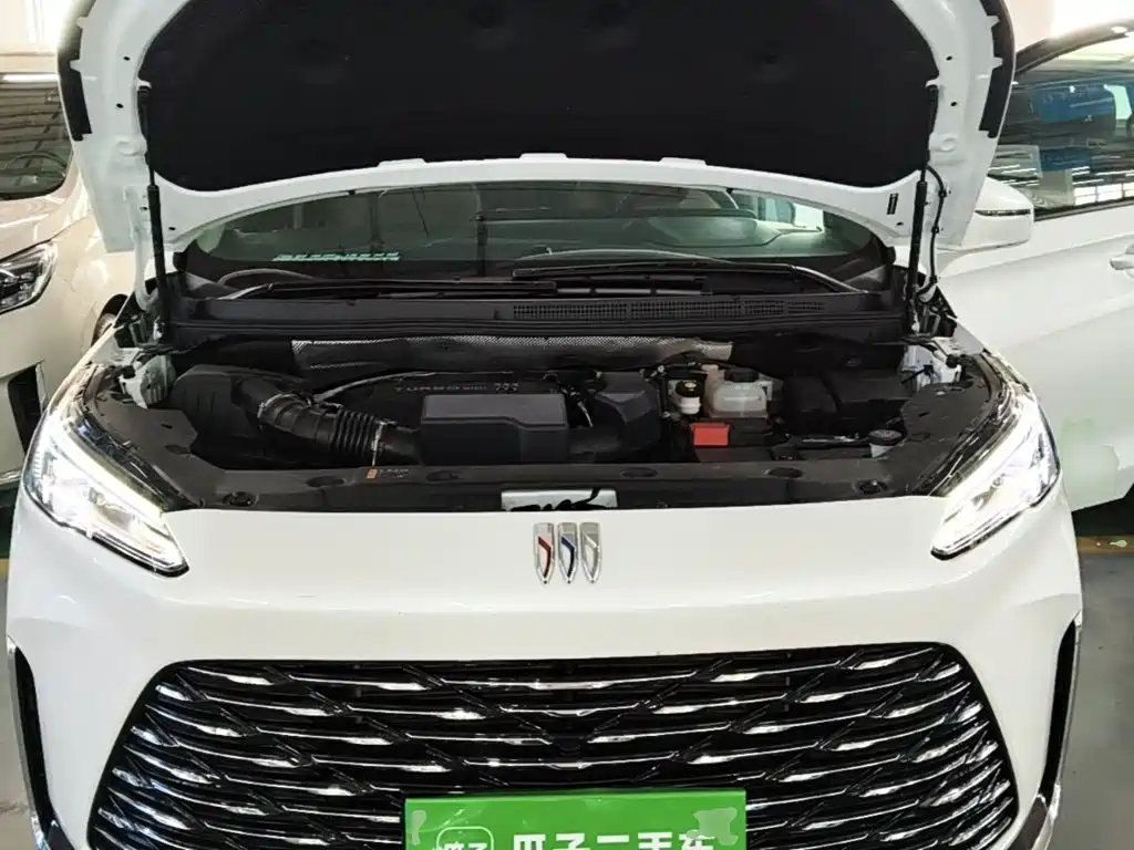 Buick GL8 — миниатюра 20
