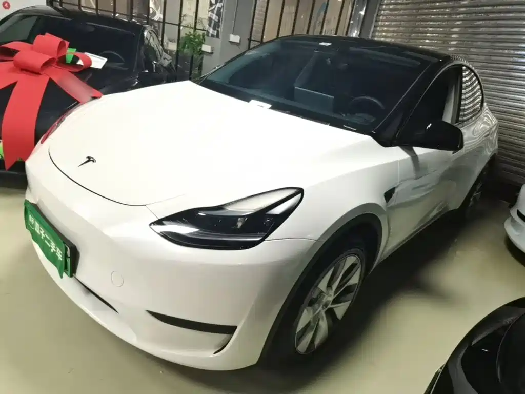 Tesla Model Y — миниатюра 2