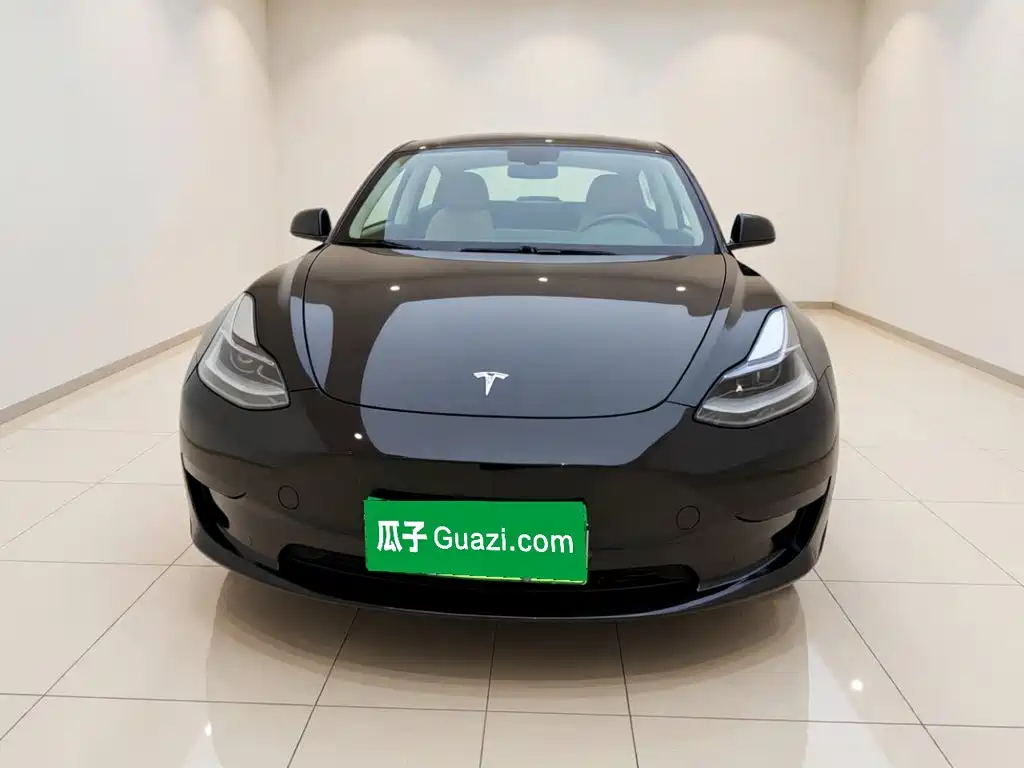 Tesla Model 3 — миниатюра 2