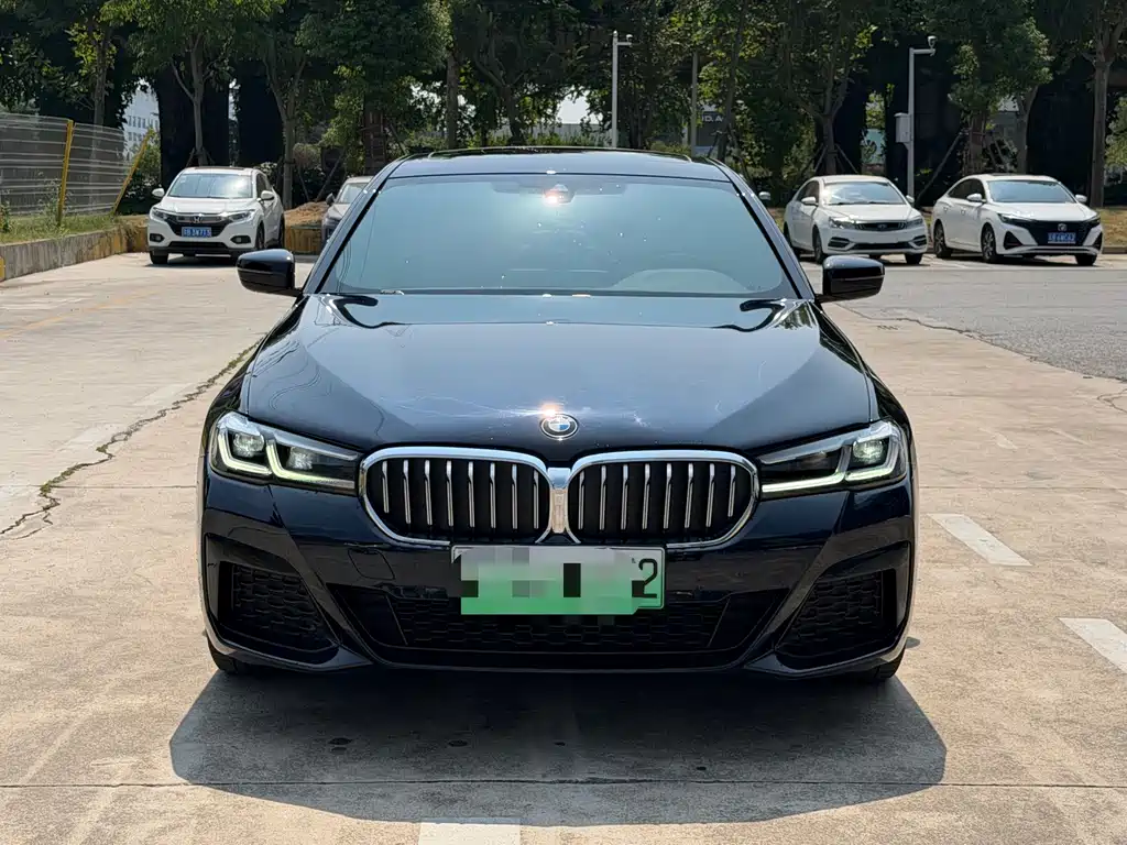 BMW 5 Series New Energy — миниатюра 2
