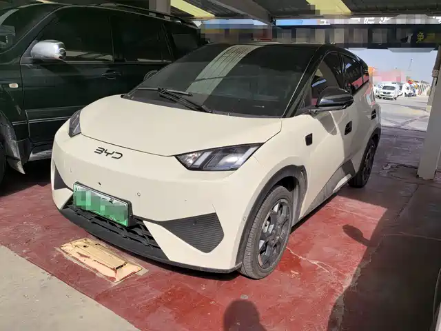 BYD Seagull