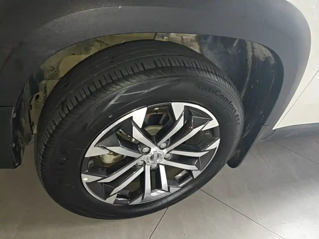 Haval Big Dog — миниатюра 23
