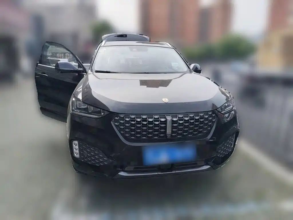 Wey Wey VV6 — миниатюра 2