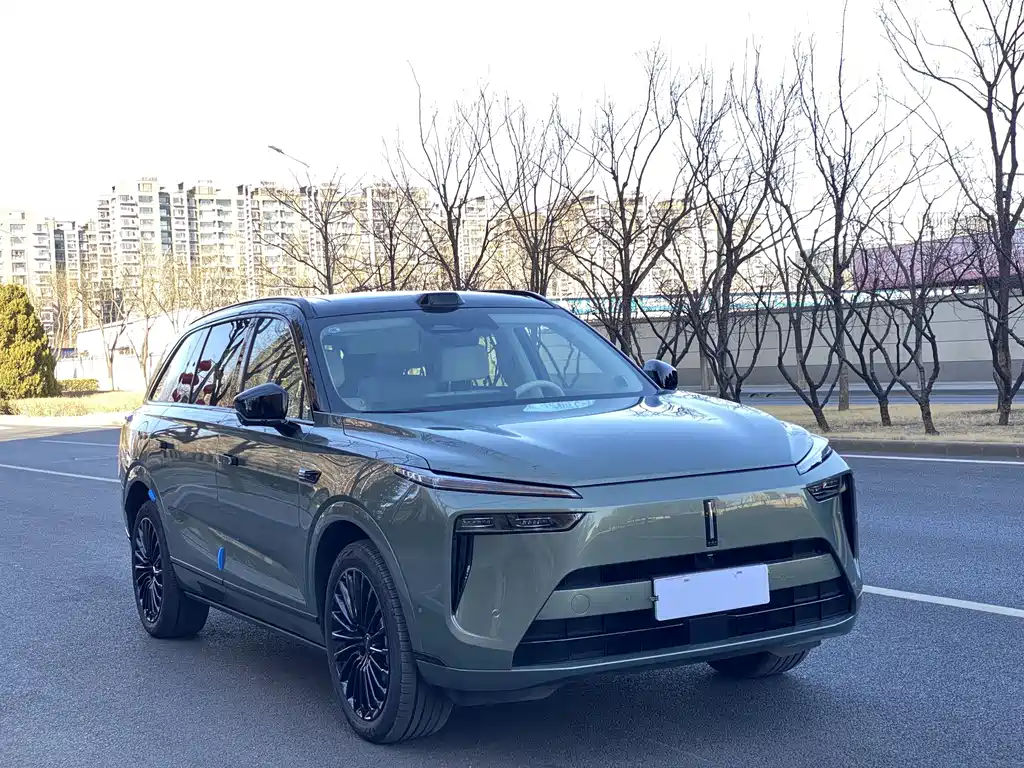 WEI PAI WEI BRAND BLUE MOUNTAIN