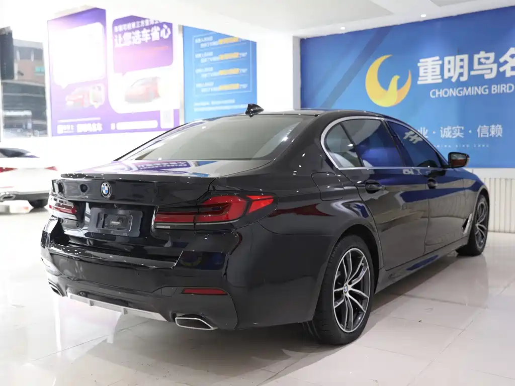 BMW 5 SERIES NEW ENERGY