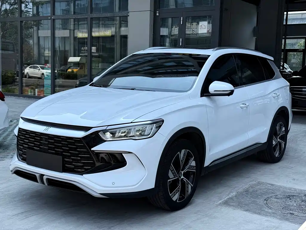 BYD Pro New Energy — миниатюра 2