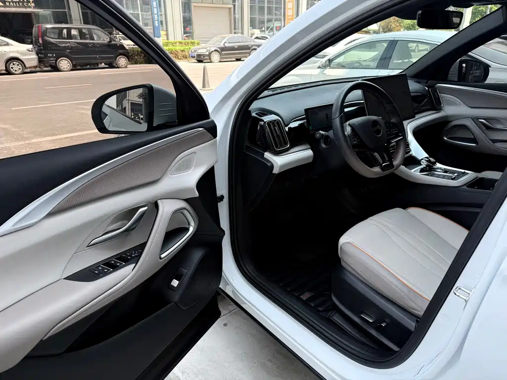 BYD Pro New Energy — миниатюра 16