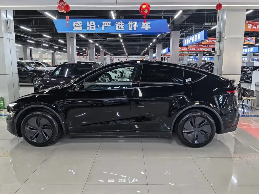 Tesla Model Y — миниатюра 7