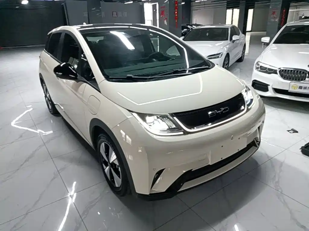 BYD Dolphin — миниатюра 4