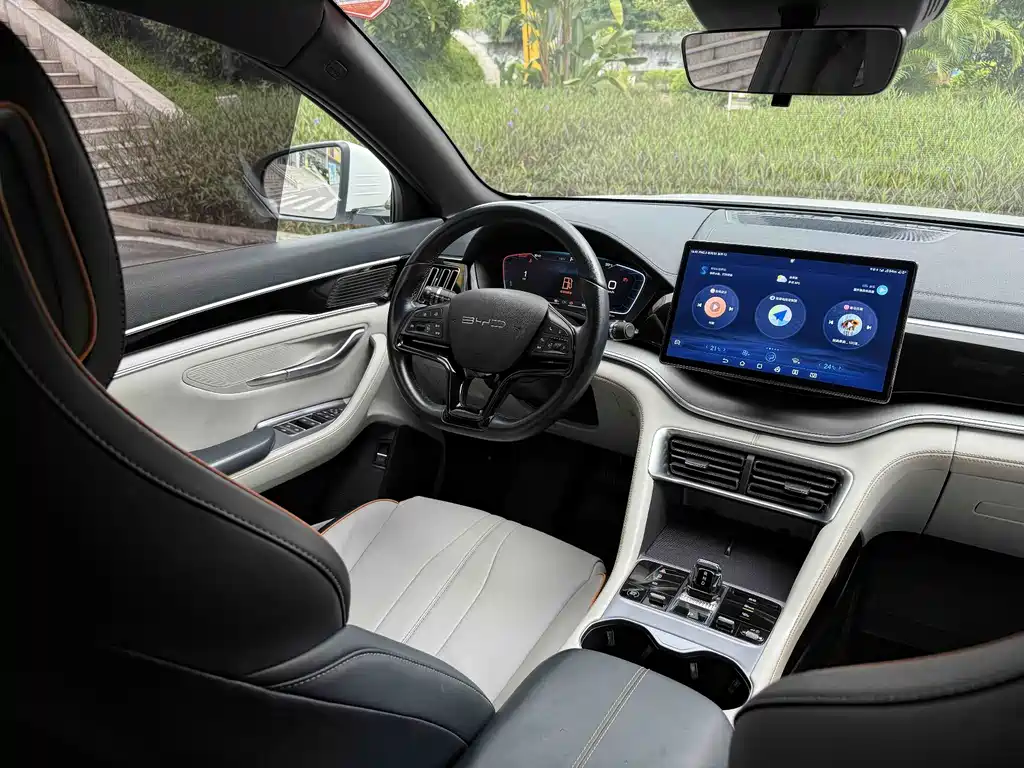 BYD PLUS New Energy — миниатюра 7