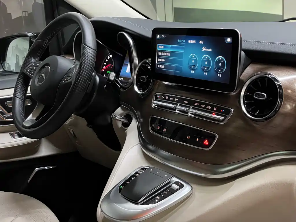 MERCEDES-BENZ V CLASS