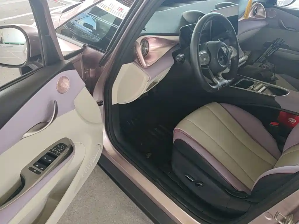 BYD Dolphin — миниатюра 16