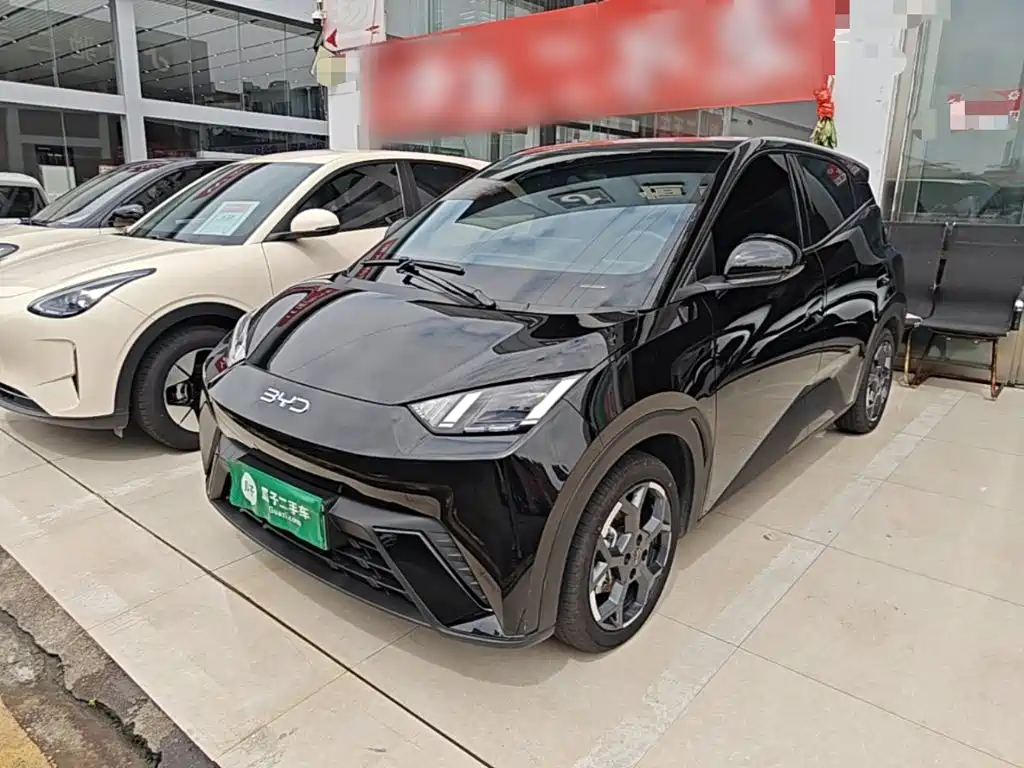 BYD Seagull 2024 305km Freedom
