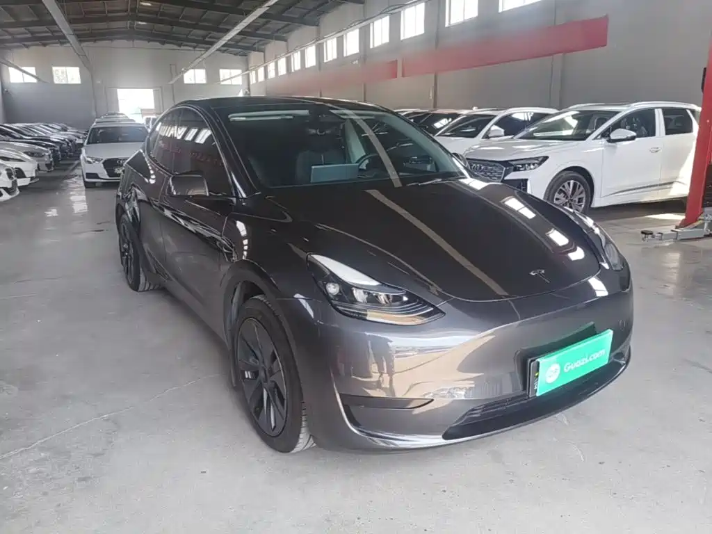 Tesla Model Y — миниатюра 4