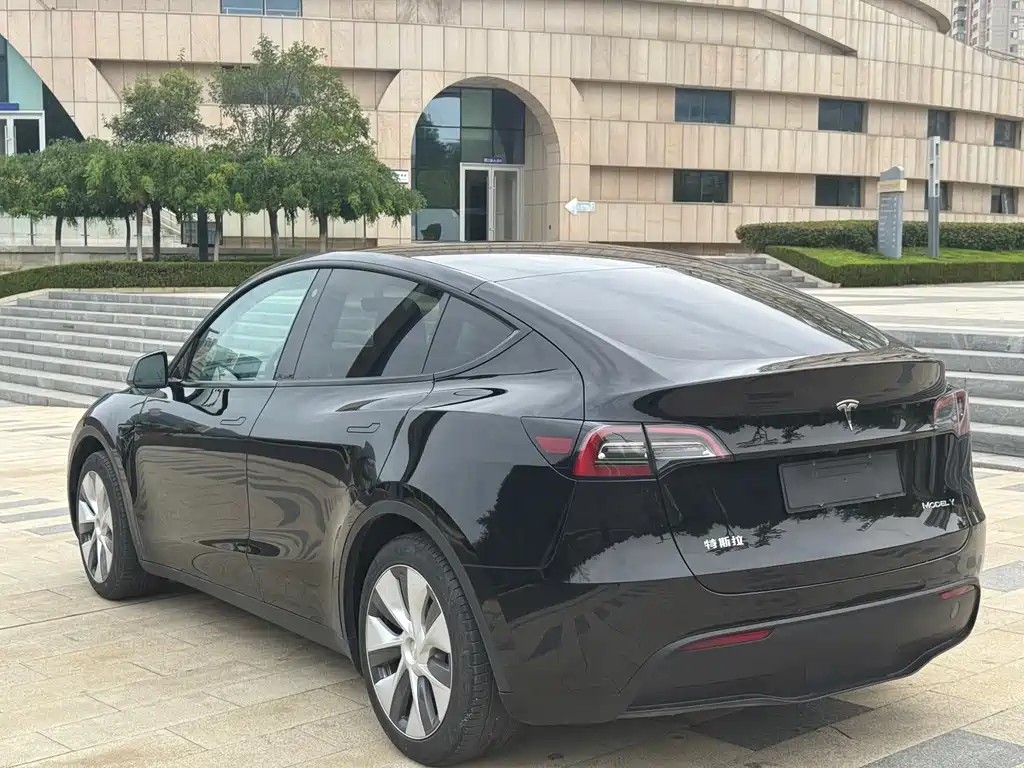 Tesla Model Y — миниатюра 7